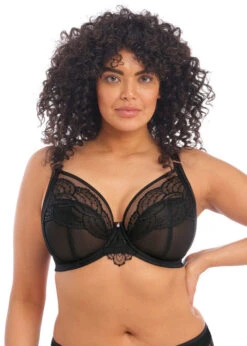 ELOMI Soutien-gorge Armatures Priya Noir -PRIMADONNA boutique EL4550 BLK primary Elomi Lingerie Priya Black Underwired Plunge Bra