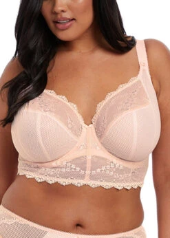 ELOMI Bralette Charley Ballet Pink -PRIMADONNA boutique c2c8ed 3614b3b4c5404f9094e26b5891157c28 mv2