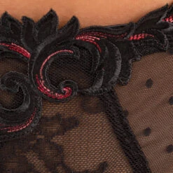 String En Dentelle Soirée Libertine -PRIMADONNA boutique c2c8ed 951755a6fcd04cba8d30dd79f1a00ab8 mv2