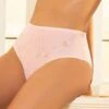 Culotte Haute Rose De Venise -PRIMADONNA boutique culotte haute lise charmel lingerie paris