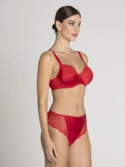Culotte Haute En Soie Splendeur Soie Rouge -PRIMADONNA boutique culotte haute lise charmel splendeur soie rouge lise charmel1