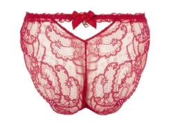 Slip Séduction Rouge Soir De Venise -PRIMADONNA boutique slip seduction rouge lise charmel splendeur venise