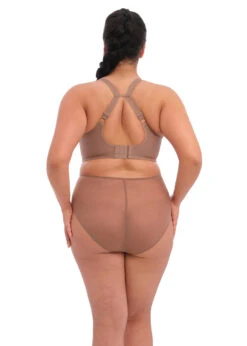 ELOMI Culotte Matilda Clove -PRIMADONNA boutique soutien gorge elomi matilda clove2