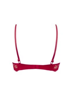 Soutien-gorge Glam Splendeur Soie Rouge -PRIMADONNA boutique soutien gorge glam lise charmel splendeur soie rouge paris